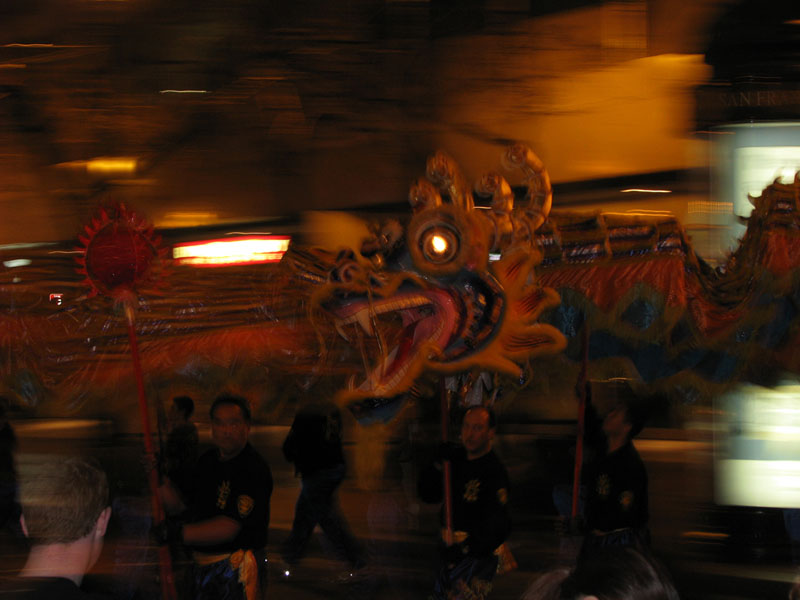 Dragon Swimming